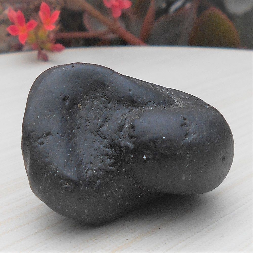 1588866315_Navi_Chakra_Shaligram.jpg