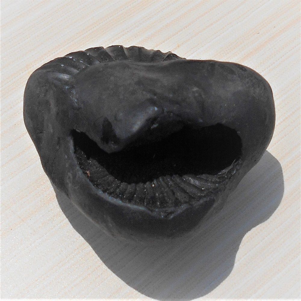 1588869689_Lakshmi_Narayan_Shaligram_4.jpg