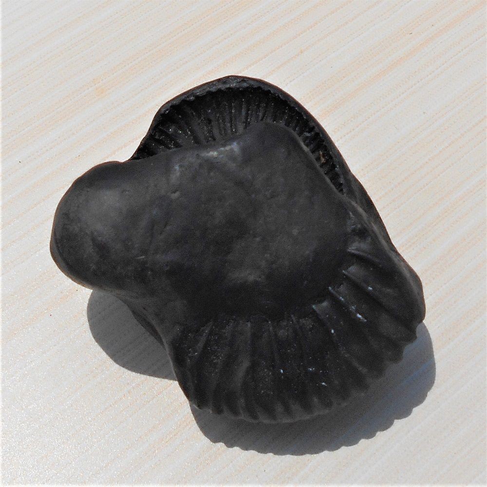 1588869689_Lakshmi_Narayan_Shaligram_5.jpg