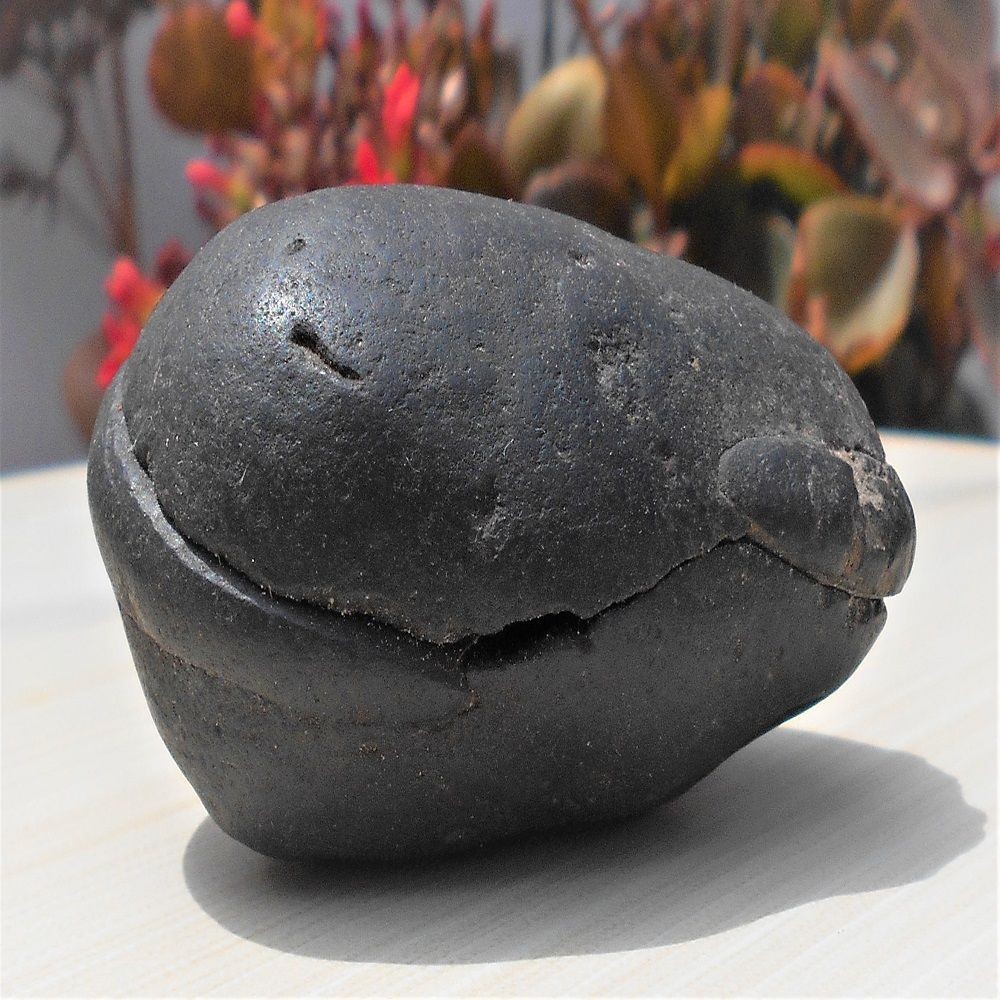 significance of shaligram stone