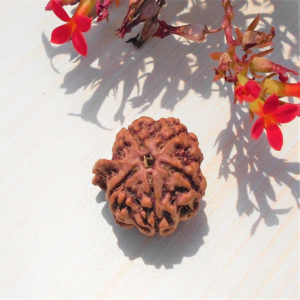 1598689357_Nepali-Ganesh-Rudraksha-Bead.jpg