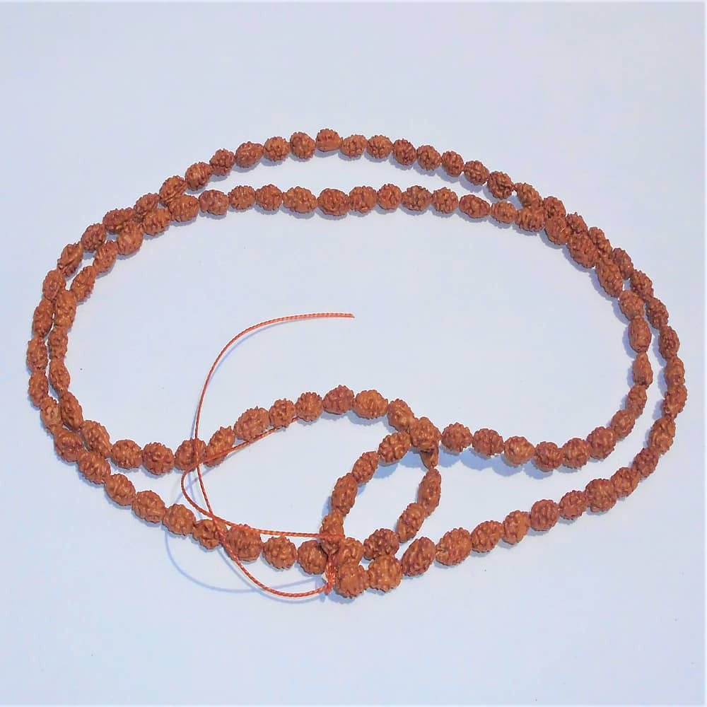 1625556856_Two-Mukhi-Rudraksha-Mala.JPG