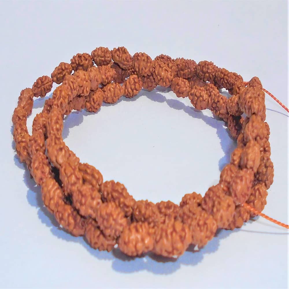 1625556945_Two-Mukhi-Indonesian-Mala.JPG