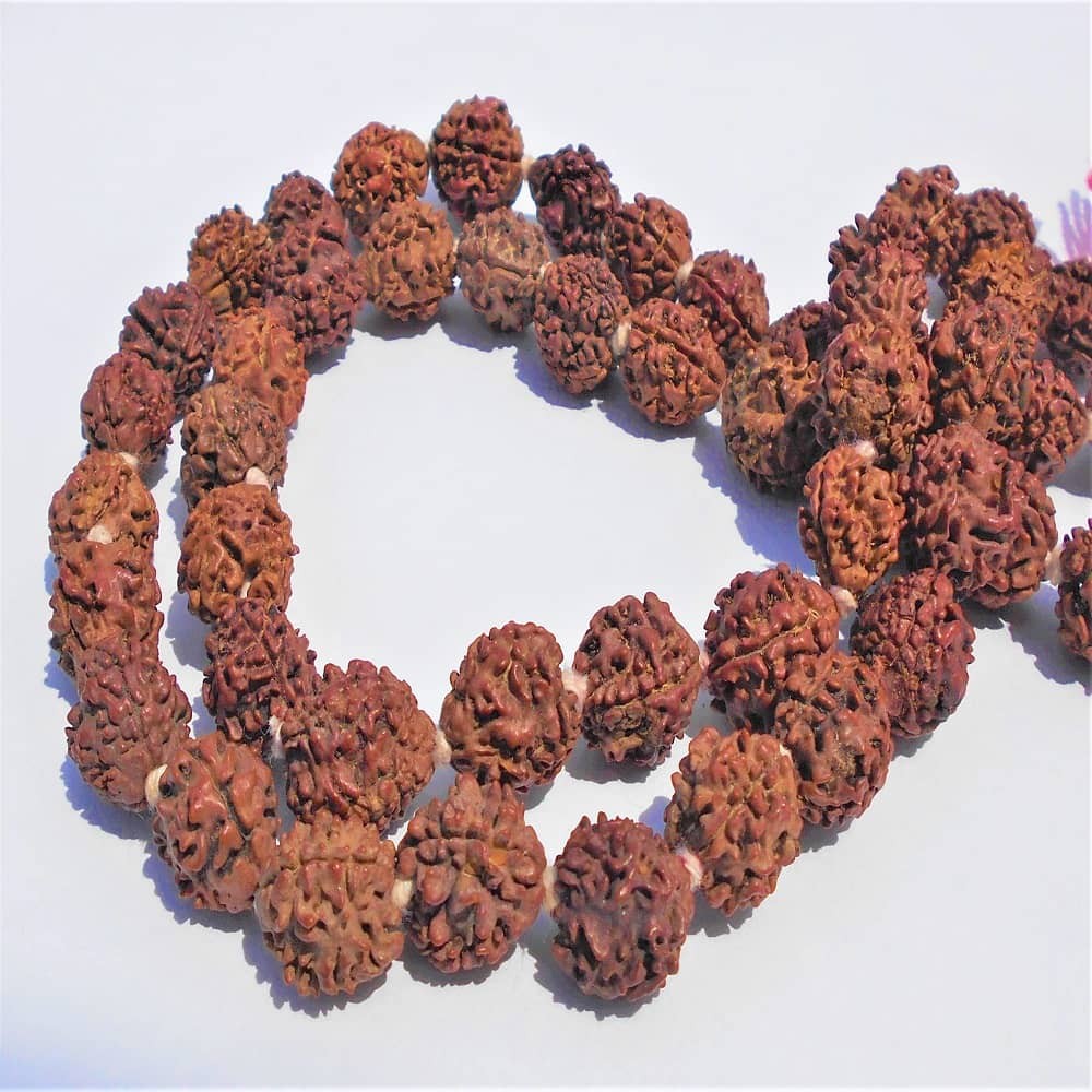 1626164692_3-Mukhi-Mala.JPG