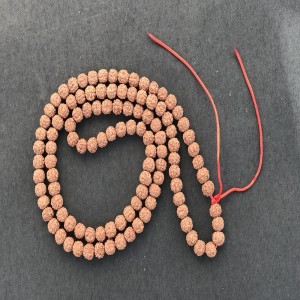 1585129186_Five_Mukhi_Mala_1B.jpg