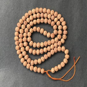 1586509543_6_Mukhi_Rudraksha_Mala.jpg