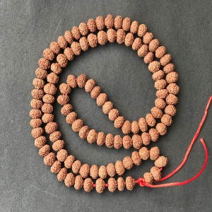 1586522220_9_Mukhi_Rudraksha_Mala.jpg