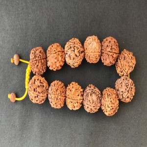 1586767802_5_Mukhi_Rudraksha_Braclete_1.jpg