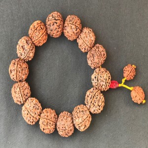 1586768754_6_Mukhi_Rudraksha_Bracelet.jpg