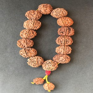 1586768754_6_Mukhi_Rudraksha_Bracelet_3.jpg