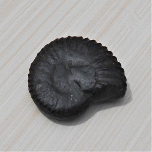 1588839748_Navi_Sudarshan_Chakra_Shaligram.jpg