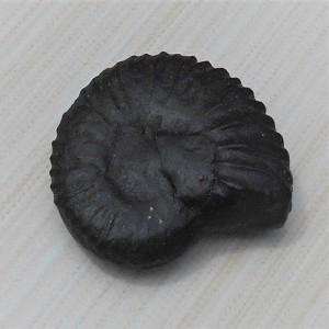 1588839748_Navi_Sudarshan_Chakra_Shaligram_2.jpg