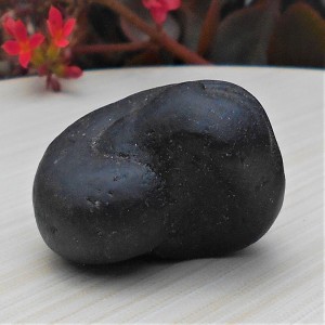 1588866315_Navi_Chakra_Shaligram_3.jpg