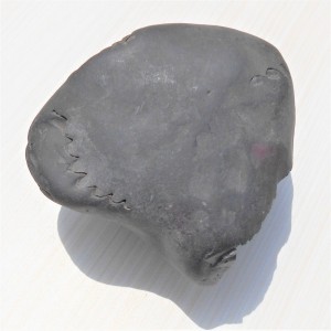 1588872166_Chakra_Laxmi_Narayan_Shaligram_3.jpg