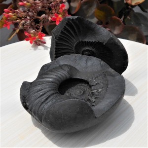 1588935403_Open_Sudarshan_Chakra_Shaligram.jpg