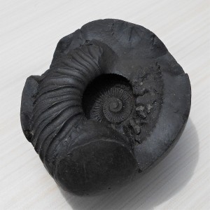 1588935403_Open_Sudarshan_Chakra_Shaligram_3.jpg