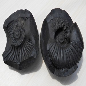 1588935403_Open_Sudarshan_Chakra_Shaligram_5.jpg