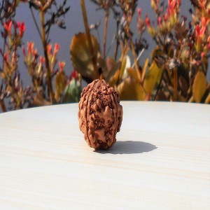 1591696630_4-Face-Rudraksha.jpg