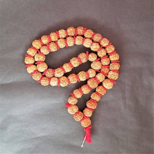 1601628284_Kantha-Mala-Rudraksha.jpg