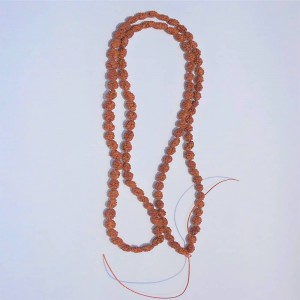 1625557046_2-Mukhi-Indonesian-Mala.JPG