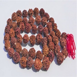 1626164633_3-Mukhi-Rudraksha-Mala.JPG