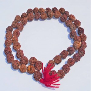 1626164666_Three-Mukhi-Rudraksha-Mala.JPG