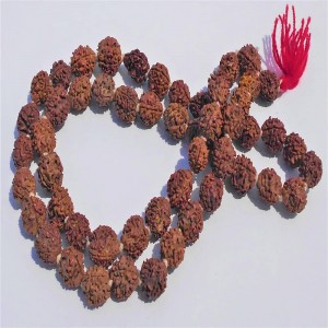 1626164692_3-Mukhi-Mala-54-Beads.JPG