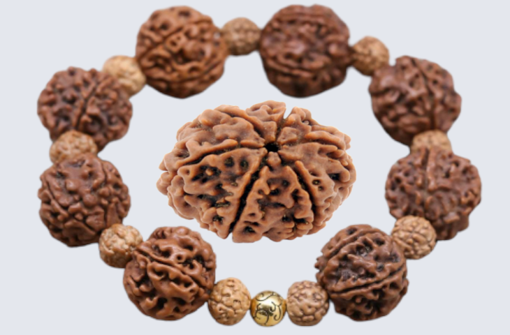 Rudraksha